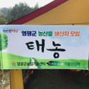 대농농장 이미지