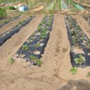 여수농장 이미지