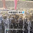 사담관광농원캠핑 네이버블로그