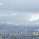 온천민박 이미지