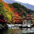 에프티(주) 이미지