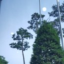 나를가꾸다 이미지