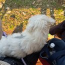 보문세차장 | (72) 오랜만에 쓰는 글,