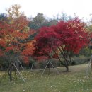 율곡약수터 이미지