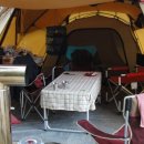 도로시팜 이미지