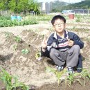 우리농장2 이미지