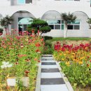 흥양천길 이미지