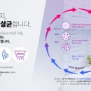 족발zone