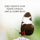이모네설렁탕 - 종로구 종로 232-4 | 이모네설렁탕