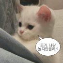 홈플러스(주)순천풍덕점 | 지치고 병든 나그네여
