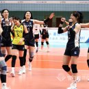 수원시청 이미지