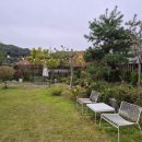 디저트포레스트 이미지