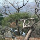 월문6리 이미지