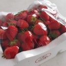 늘해랑농장 이미지