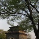 여래2구 이미지