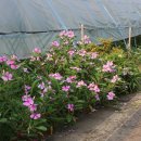 퇴천 마을회관 이미지