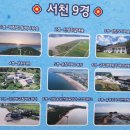 썬비치펜션A | 서천 동백꽃 쭈꾸미 축제