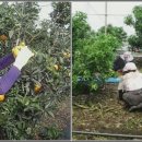 건영농장 이미지