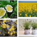 행복이가득한주유소 이미지