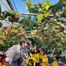 천곡중앙어린이집 이미지