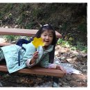 덕고개로 이미지