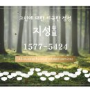 구로성심병원(본관) | 구로성심병원장례식장 가족의 시간 기록