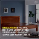 황토코리아협동조합 네이버블로그