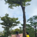 상록구청 상록구시민홀 이미지