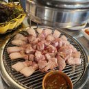 제주도로담 이미지