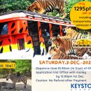 (주)빅키스톤 이미지