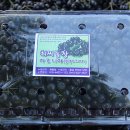 최씨농장 이미지