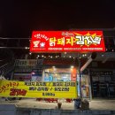 댓기리 닭돼지 김치찜 이미지