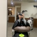 교교하다 네이버블로그