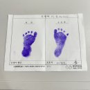 탄생 제왕절개 수술 후 1인실 입원 3-4 일차 후기 · 첫 수유콜 · 샴푸서비스 · 첫 유축 및 초유성공...