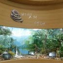 충청남도 산림박물관 이미지