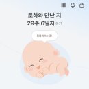봉봉냥냥 | 임신일기👶🏻 : 29~33주
