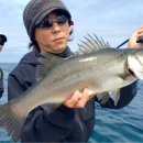 낚시고(go) 이미지