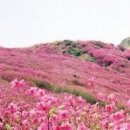 팔도모텔 이미지