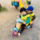 소풍농장 이미지