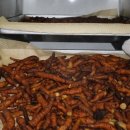 진심한방병원 이미지