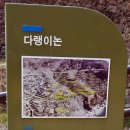 가천다랭이마을 이미지