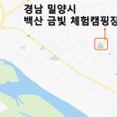 백산금빛캠프장 이미지