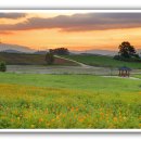 여명농장 이미지