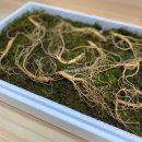 삼단지농장 이미지