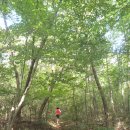 청풍쉼터 이미지