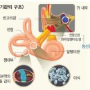 아산두리이비인후과의원 이미지