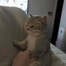 평택고래농장 | [일상기록] 물빛이 가득한 8월의 기록