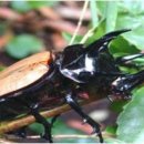 생명산업 이미지