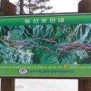 남호 목장 Daum카페