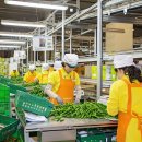 가락농협하나로마트 이미지